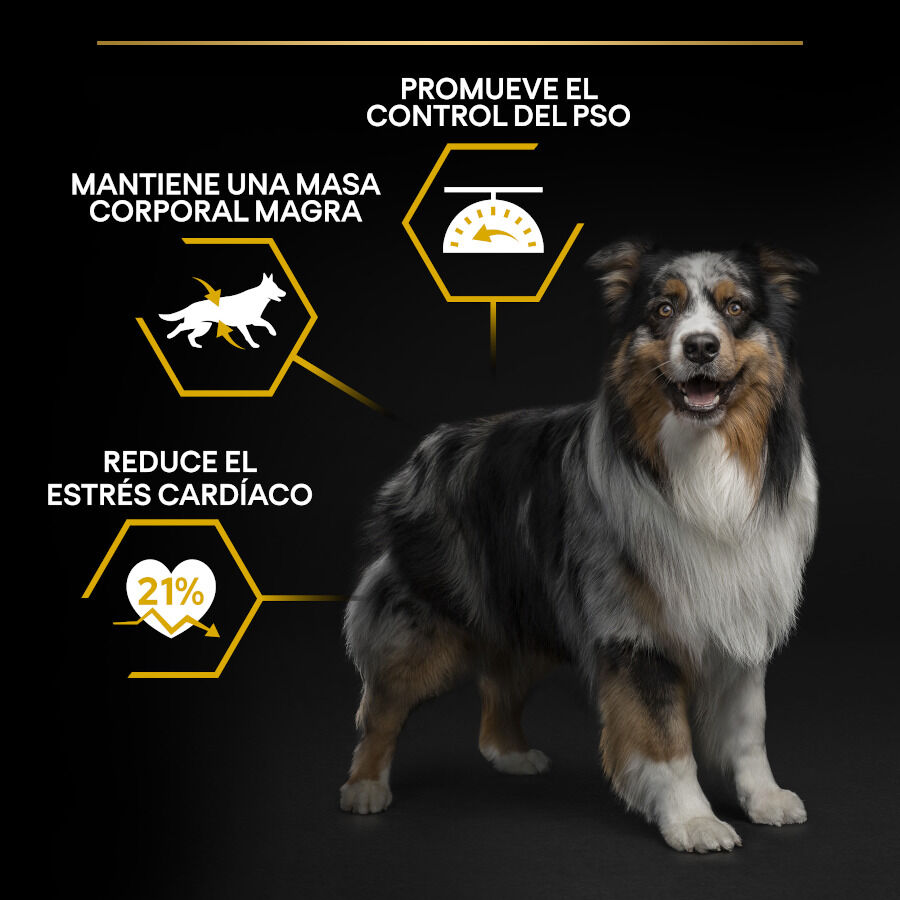 14 kg Pro Plan Adult All Sizes Light/Sterilised Pescado Blanco pienso para perros, , large Imagen numero 2